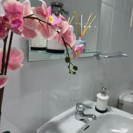 Wonderful In Son Baulo/can Picafort Apartamento *