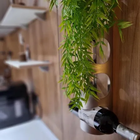 Wonderful In Son Baulo/can Picafort *