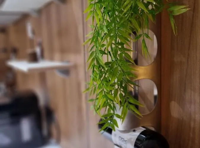 Wonderful In Son Baulo/can Picafort *